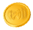 bottom coin-top-face